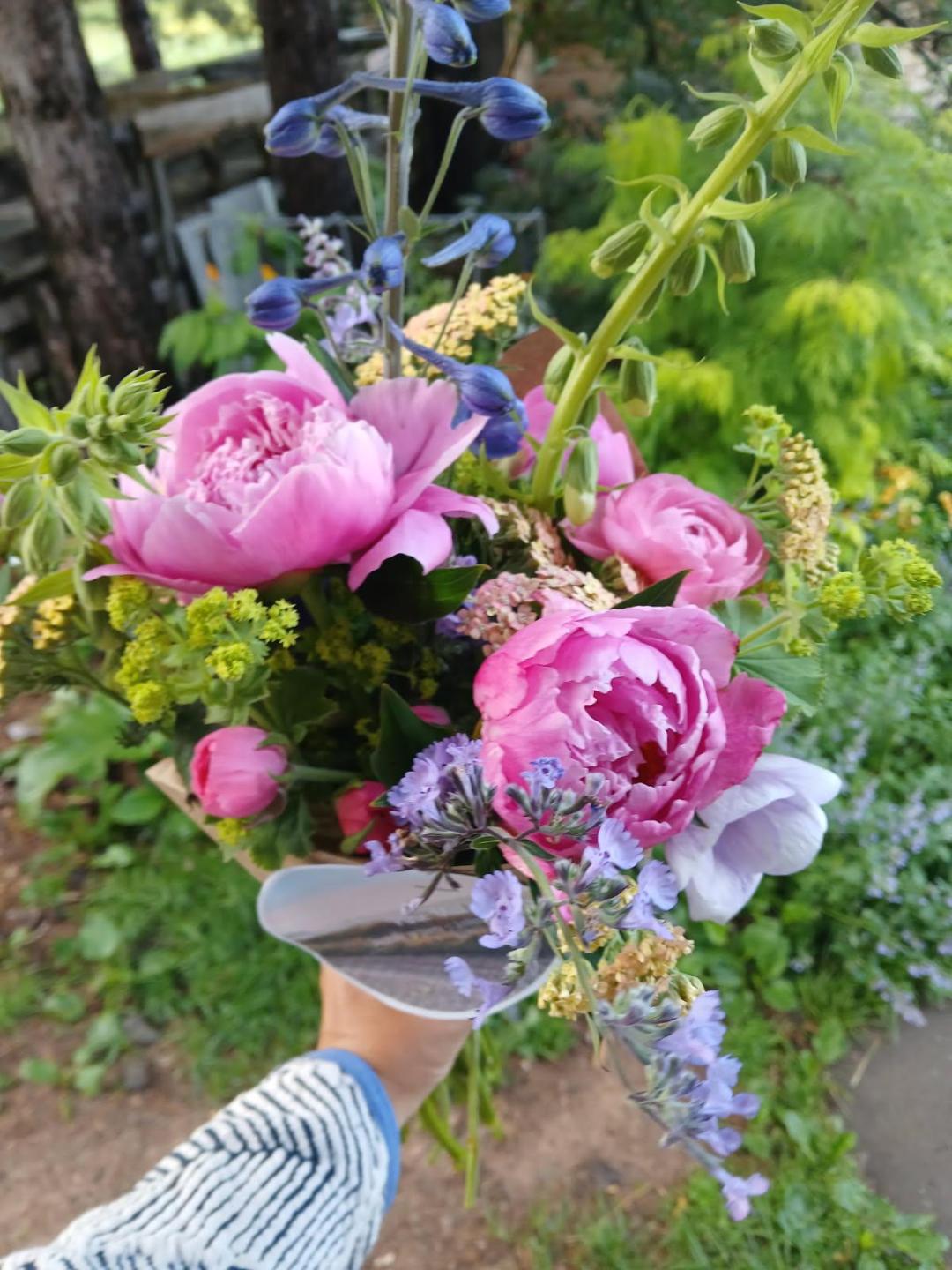 Everything is Blooming!